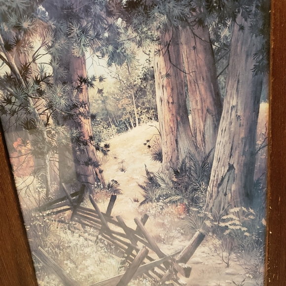 vintage framed woodland print - Picture 2 of 8
